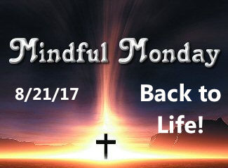 Mindful Monday Devotional -Back to Life
